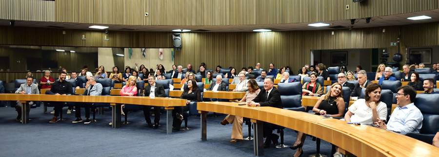 autores do livro Profissional de Seguros - Fotografa Janice Rastrello