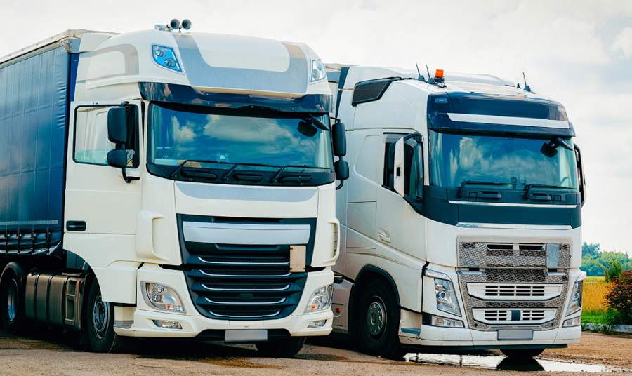 Divulga&ccedil;&atilde;o/Canva