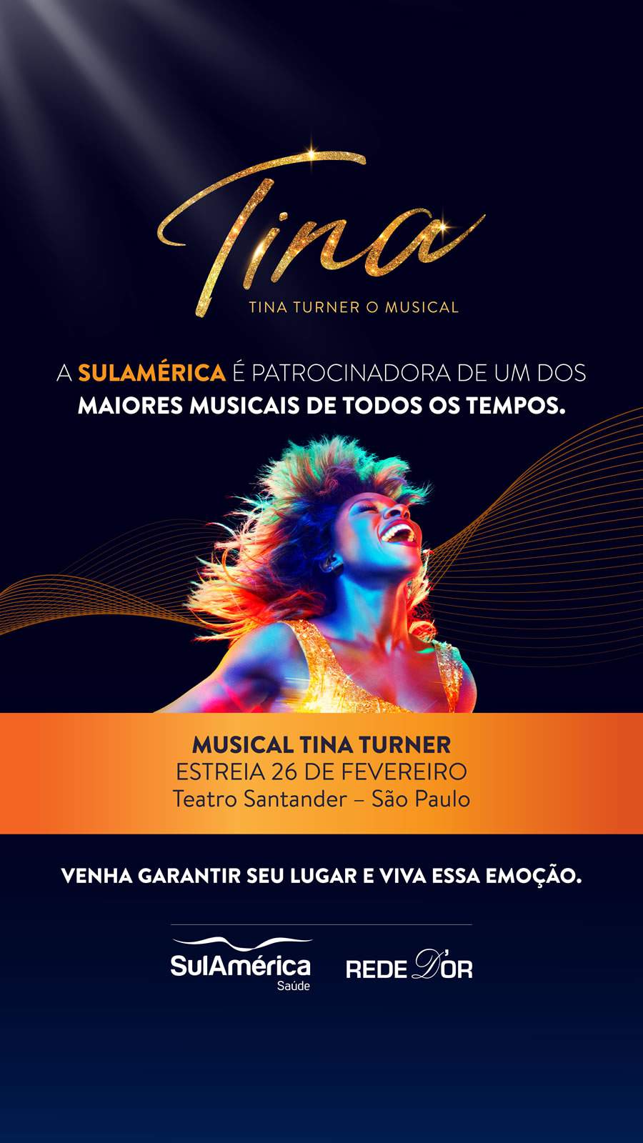 Flyer _ SulAm&eacute;rica Tina Turner