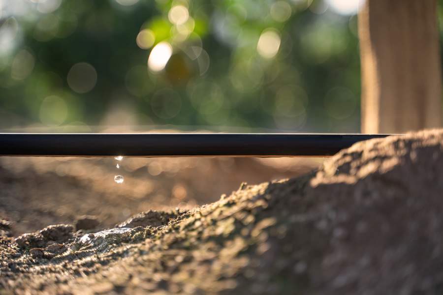 Projeto bem concebido é diferencial para o sucesso da irrigação localizada