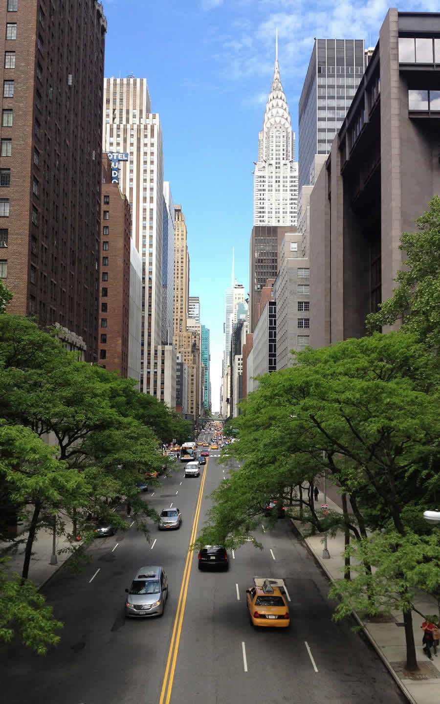 Seguro viagem para gestantes: por que contratar?