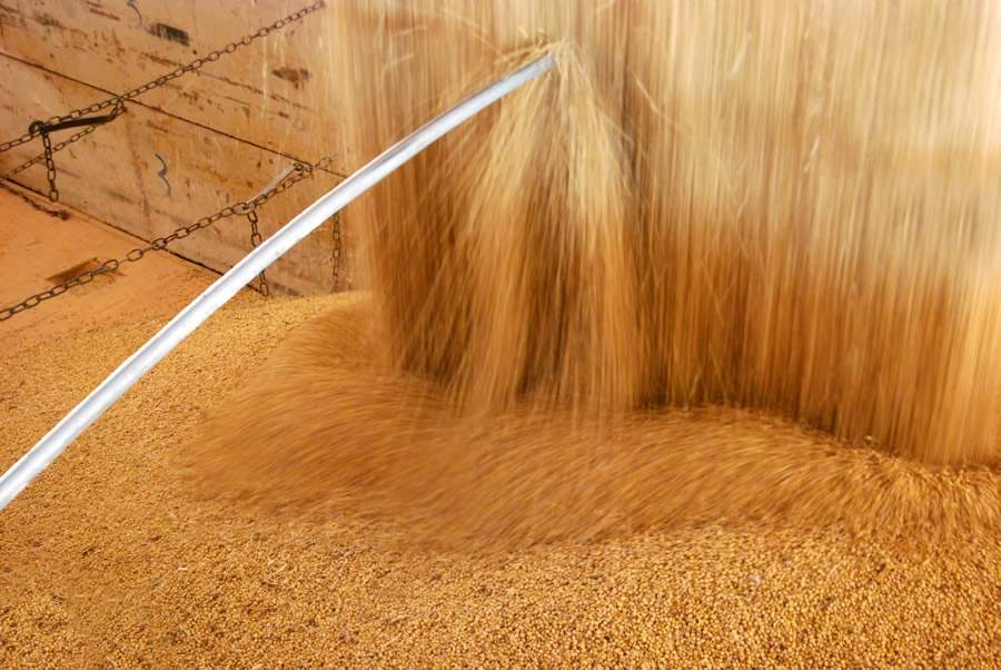 Produção de soja cresce cinco vezes em duas décadas no MATOPIBAPA