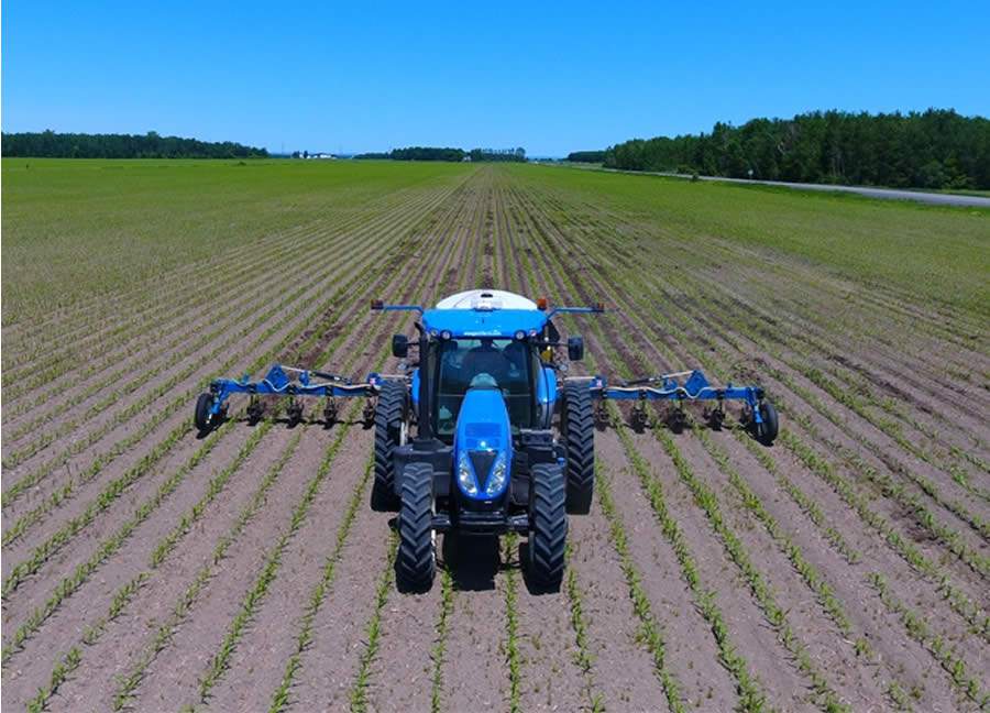 Cr&eacute;dito : Divulga&ccedil;&atilde;o