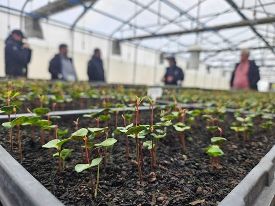    &nbsp;  Divulga&ccedil;&atilde;o - Epson