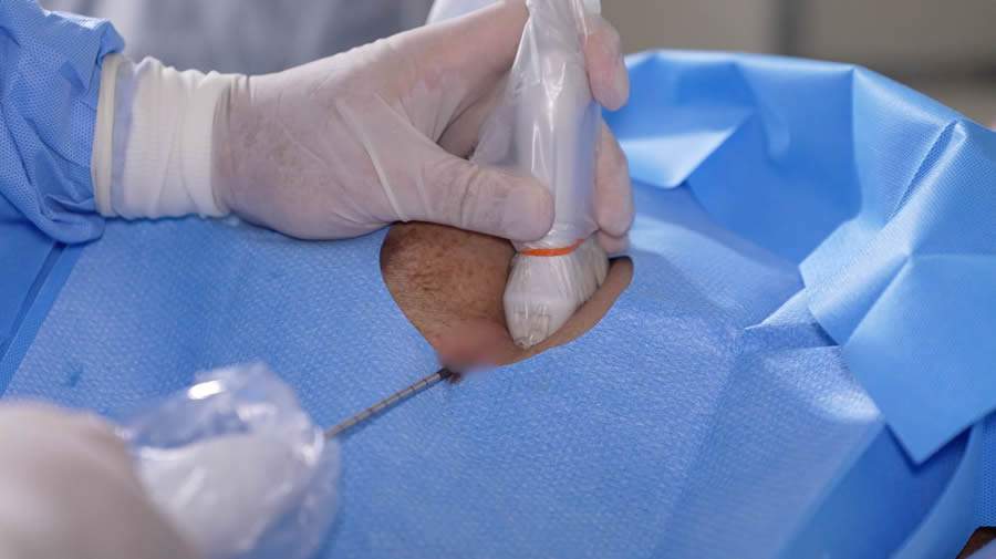 Crédito: Divulgação