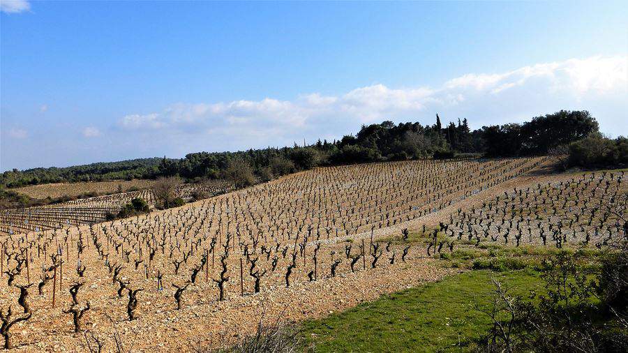 Seguradoras adotam sensoriamento remoto por sat&eacute;lite para monitorar &aacute;reas agr&iacute;colas