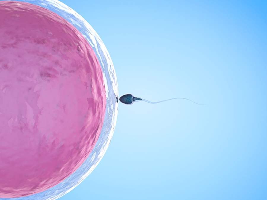 Sinais que o corpo não esconde: quando procurar um especialista em fertilidade antes que seja tarde