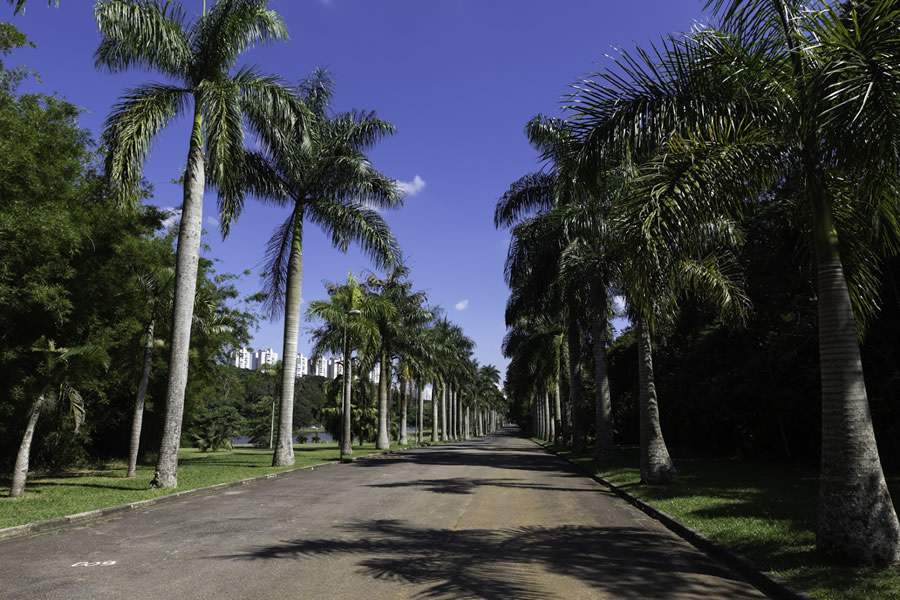 Créditos: Zoológico de São Paulo/divulgação