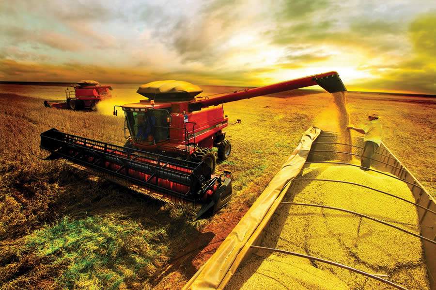 Case IH continua com suporte contínuo aos produtores e à agricultura