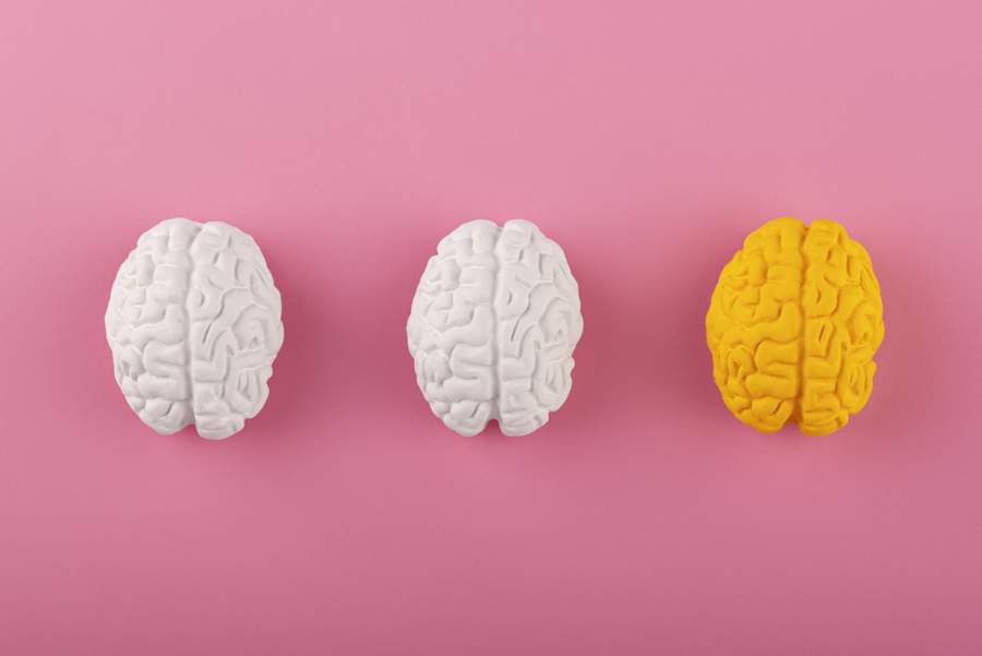 Foto: Reprodu&ccedil;&atilde;o / Freepik