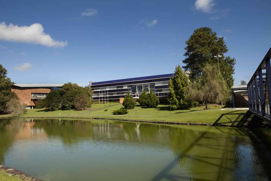 Headhunter fala sobre principais caracter&iacute;sticas para ser valorizado no mercado de trabalho