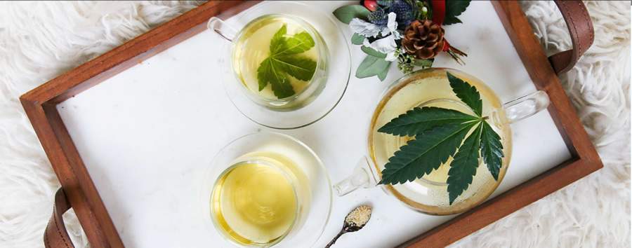 Sindrome de Burnout e o Canabidiol