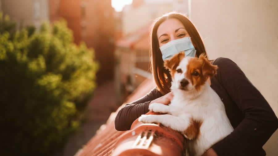 Cuidados com pets para prevenir a Covid-19 - Eva Blanco
