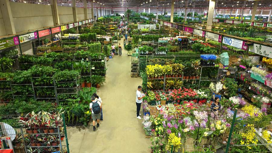 Ceaflor se consolidou como destino preferencial para quem busca variedade, qualidade e inovação. - Divulgação