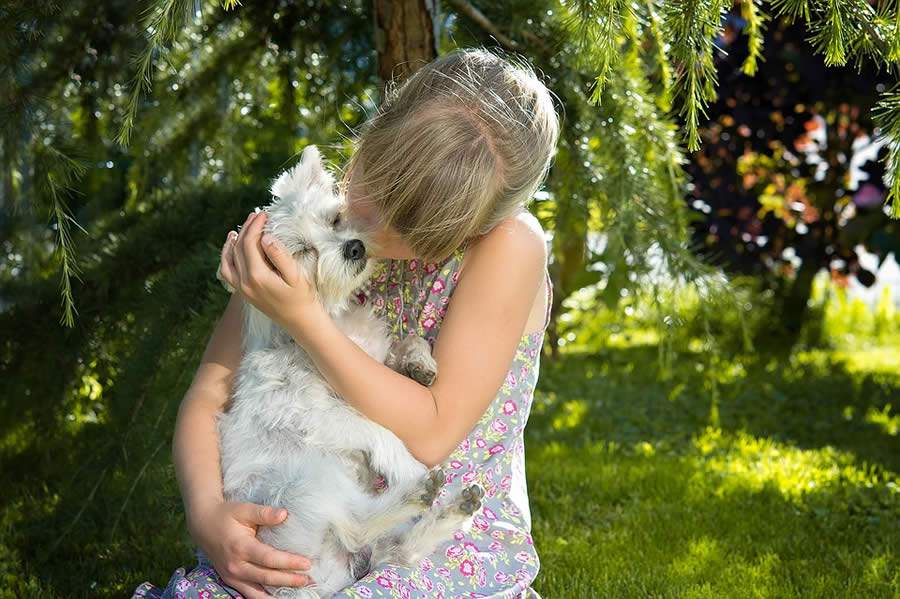 Dia Dos Animais: 6 Coisas Que Mudaram Na Vida dos Pets na Última Década