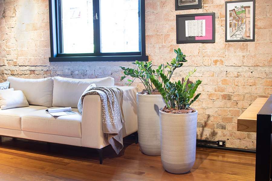 Casca de pinus: solu&ccedil;&atilde;o para um jardim mais pr&aacute;tico, bonito e saud&aacute;vel