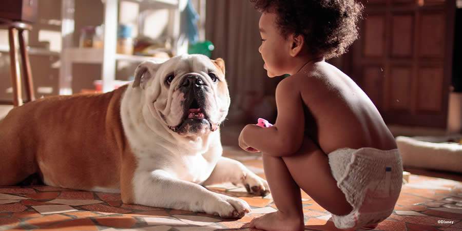 Cr&eacute;dito: Divulga&ccedil;&atilde;o Huggies