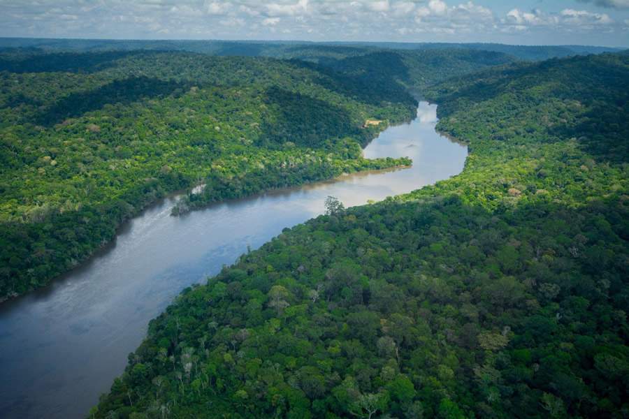 Compensa&ccedil;&atilde;o das emiss&otilde;es de CO2 contribui para a preserva&ccedil;&atilde;o de &aacute;reas da Floresta Amaz&ocirc;nica - Divulga&ccedil;&atilde;o