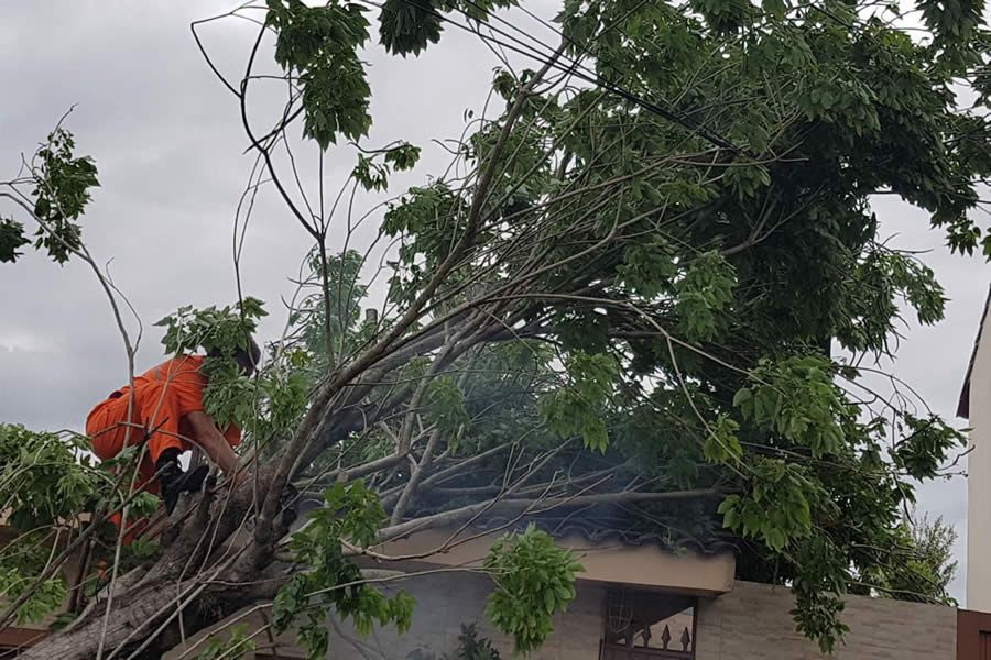 SOMPO SEGUROS estabelece plano especial para atender&nbsp;segurados atingidos por temporal em Porto Alegre