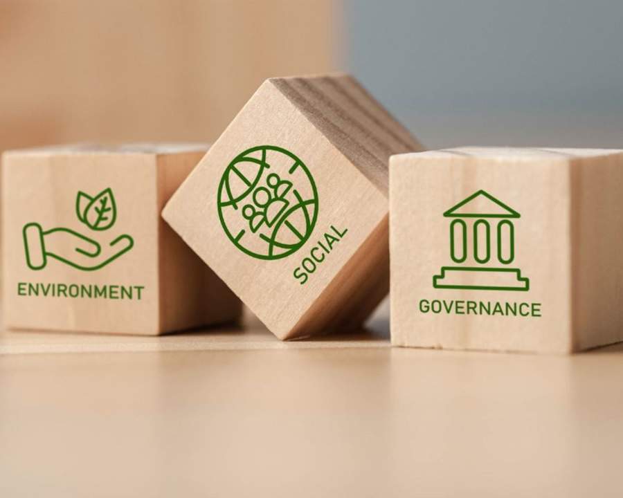 Imagem: Divulga&ccedil;&atilde;o