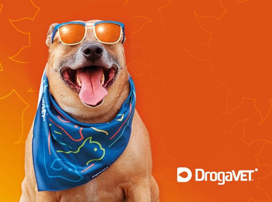 Verão Exige Cuidado Redobrado com os Pets