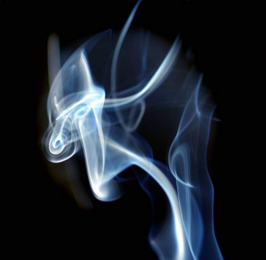 Imagem: freeimages.com