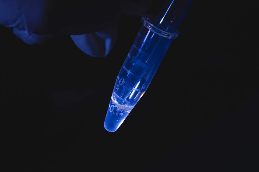 Cientistas brasileiros geram primeiro coral de proveta do Pa&iacute;s