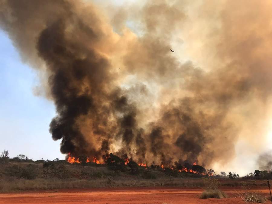 A&ccedil;&otilde;es humanas est&atilde;o entre os principais motivos das ocorr&ecirc;ncias de inc&ecirc;ndios florestais
