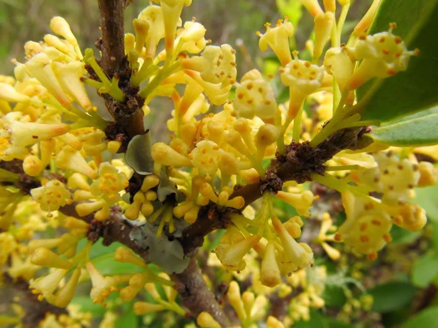 credito - Eugenia Gonzalez