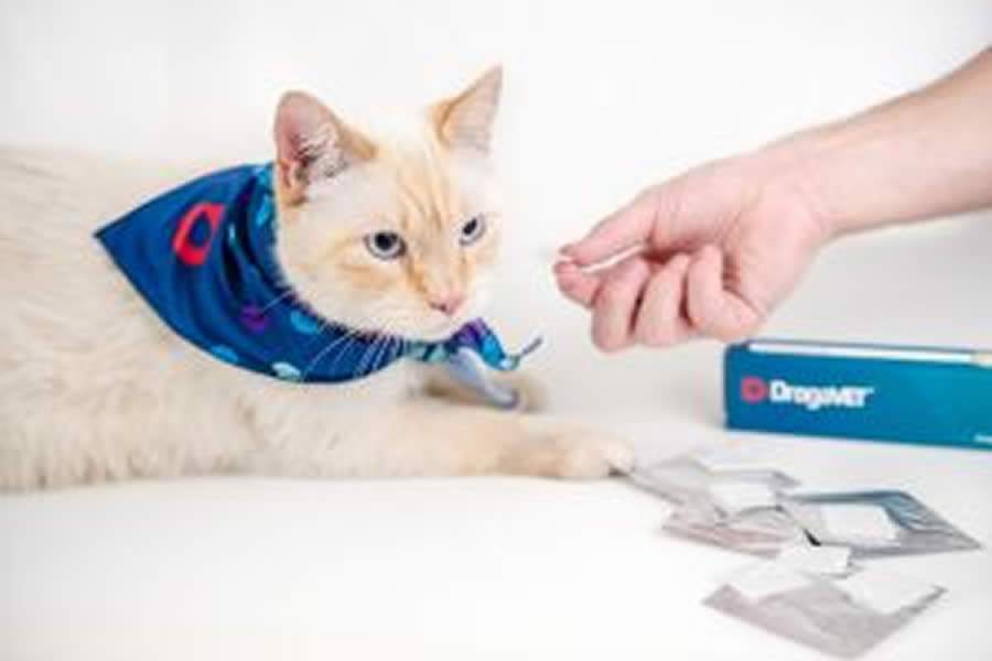 Cr&eacute;dito: Divulga&ccedil;&atilde;o