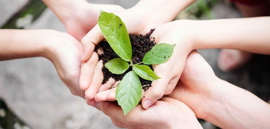 Mais de 11 milh&otilde;es de CBios j&aacute; foram emitidos em todo o Brasil