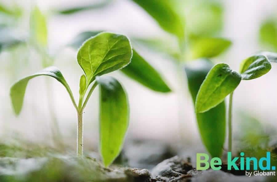 Globant anuncia que alcan&ccedil;ar&aacute; a neutralidade de carbono em 2021