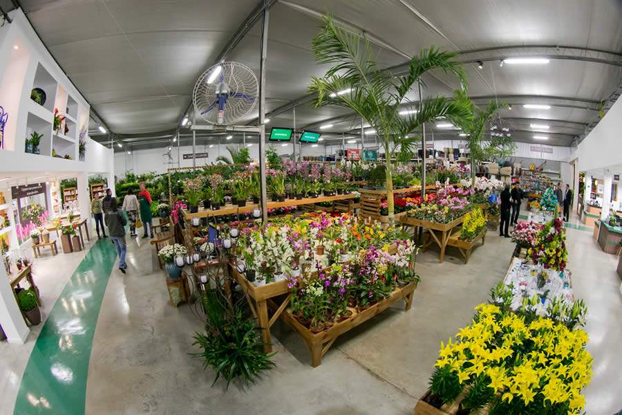 Maior rede de floriculturas do Brasil lança opção de venda via chamada de vídeo