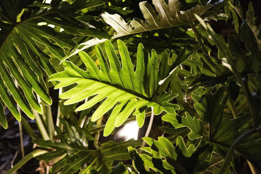 Foto: Gabriela Daltro