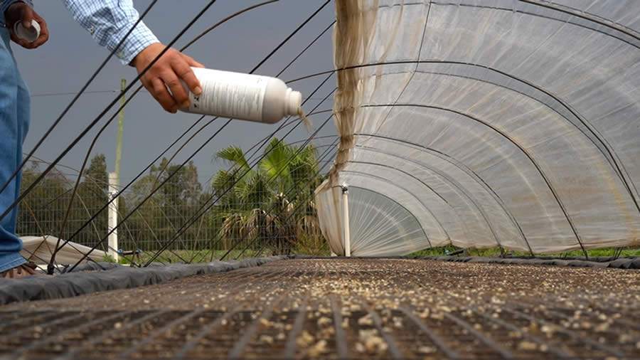 Aplica&ccedil;&atilde;o Stratiomip_cr&eacute;dito_divulga&ccedil;&atilde;o Promip