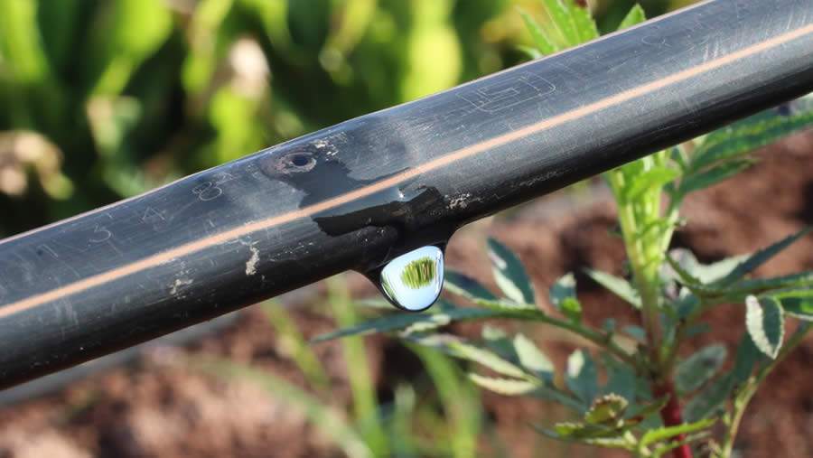 Como tornar sua água mais produtiva?