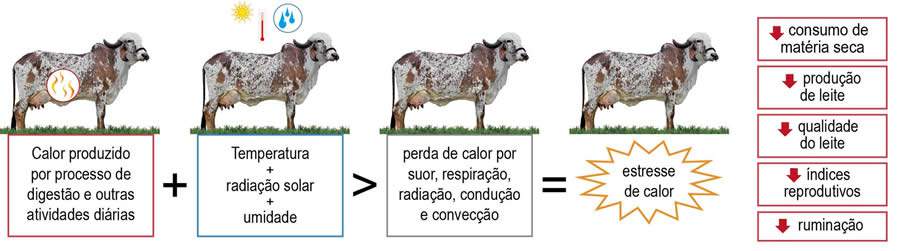 Ilustração: Wellington Cavalcanti