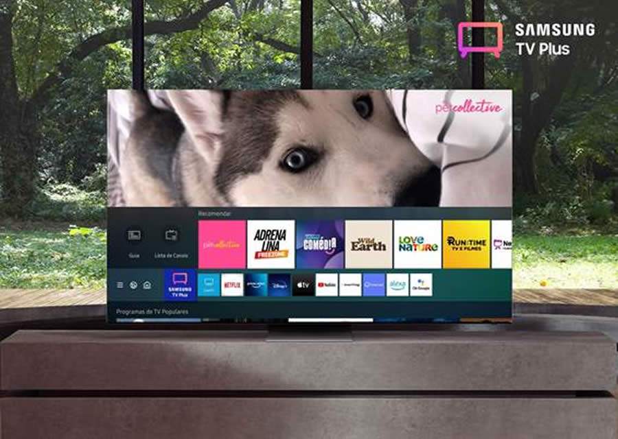 Cr&eacute;dito : Divulga&ccedil;&atilde;o