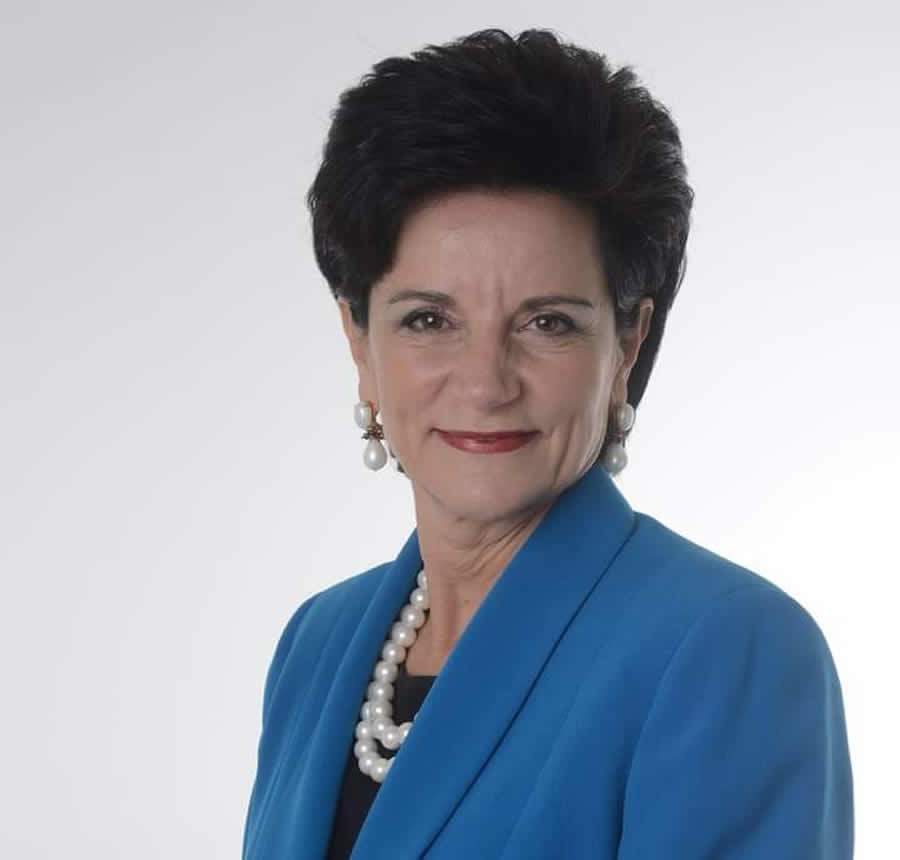 A import&acirc;ncia do networking e as novas conex&otilde;es para o protagonismo feminino