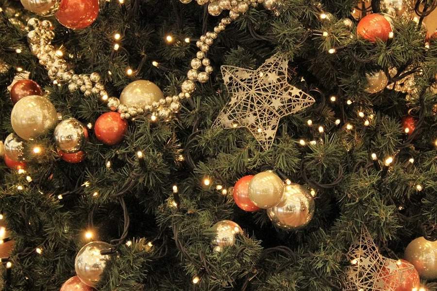 Crédito: pixabay.com_CC0 Creative Commons