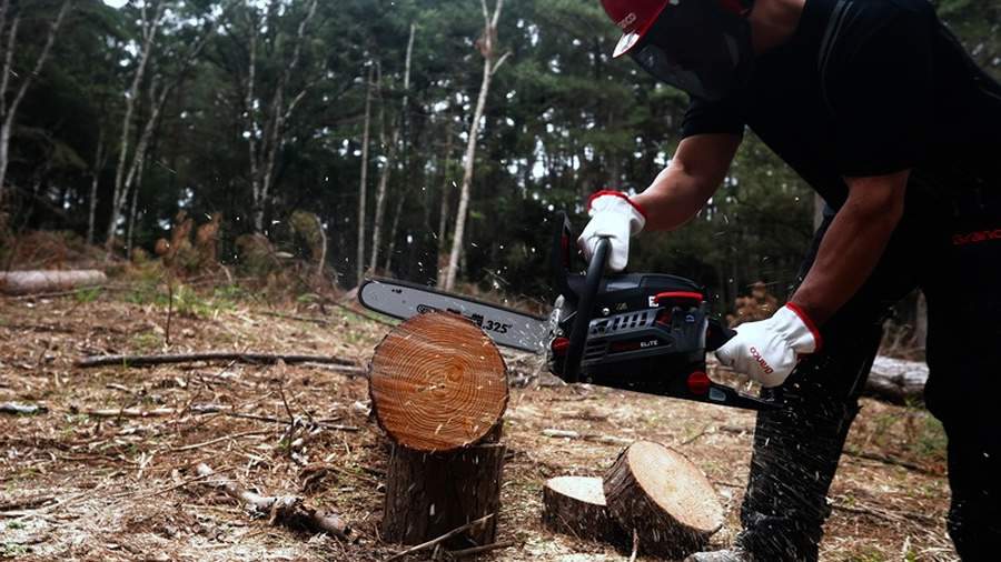 Linha de motosserras Elite, da Branco Motores, chega ao mercado