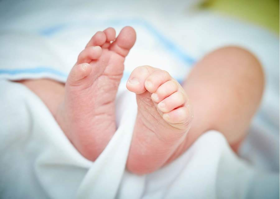 Fonoaudi&oacute;logo tem papel crucial na evolu&ccedil;&atilde;o da sa&uacute;de de beb&ecirc;s prematuros