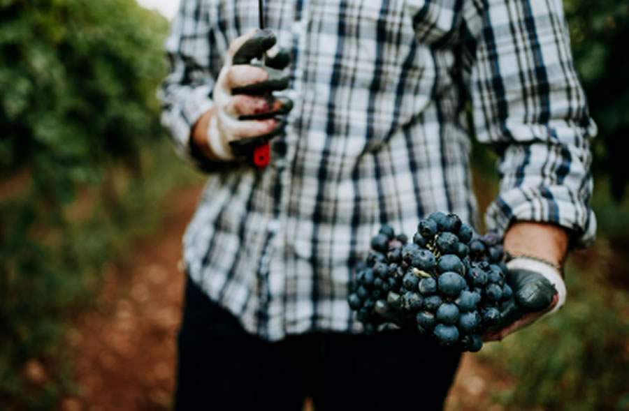 Cr&eacute;dito: Rodolfo Regini