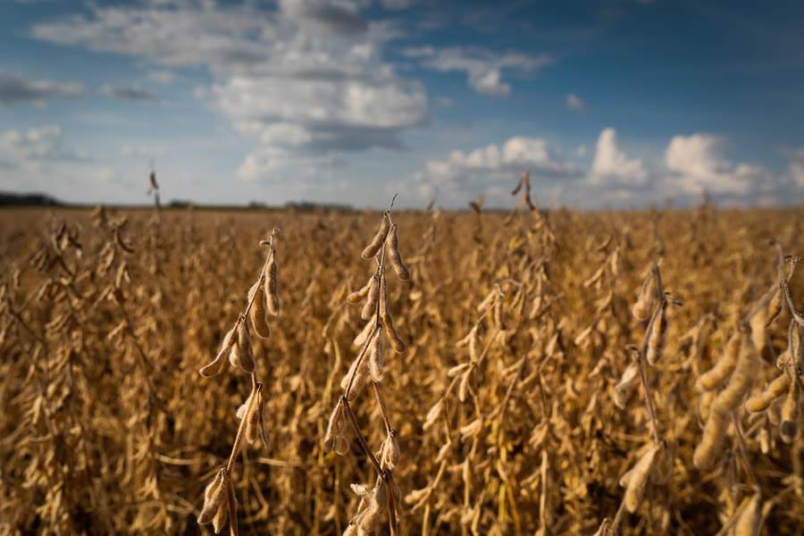 BRANDT-Convenio-entre-BRANDT-MyCarbon-e-Banco-do-Brasil-amplia-acesso-a-credito-rural-e-ativos-de-carbono-Credito-CNA-Brasil-Wenderson-Araujo