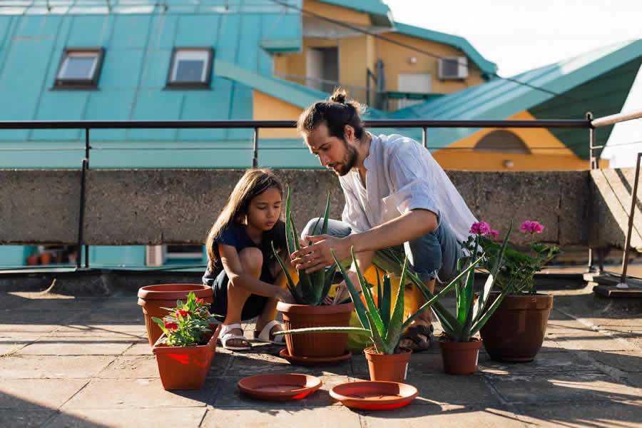 Dia da Terra: 22 de abril | Pinterest: confira as principais tend&ecirc;ncias de sustentabilidade na plataforma