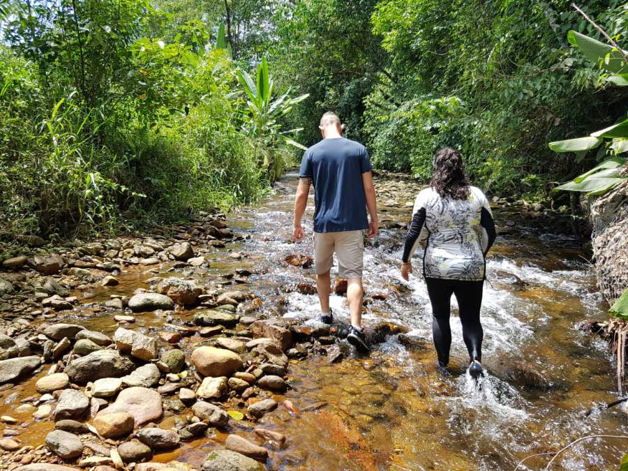 Programa Natureza Empreendedora abre inscri&ccedil;&otilde;es para acelerar neg&oacute;cios de impacto positivo na Grande Reserva Mata Atl&acirc;ntica