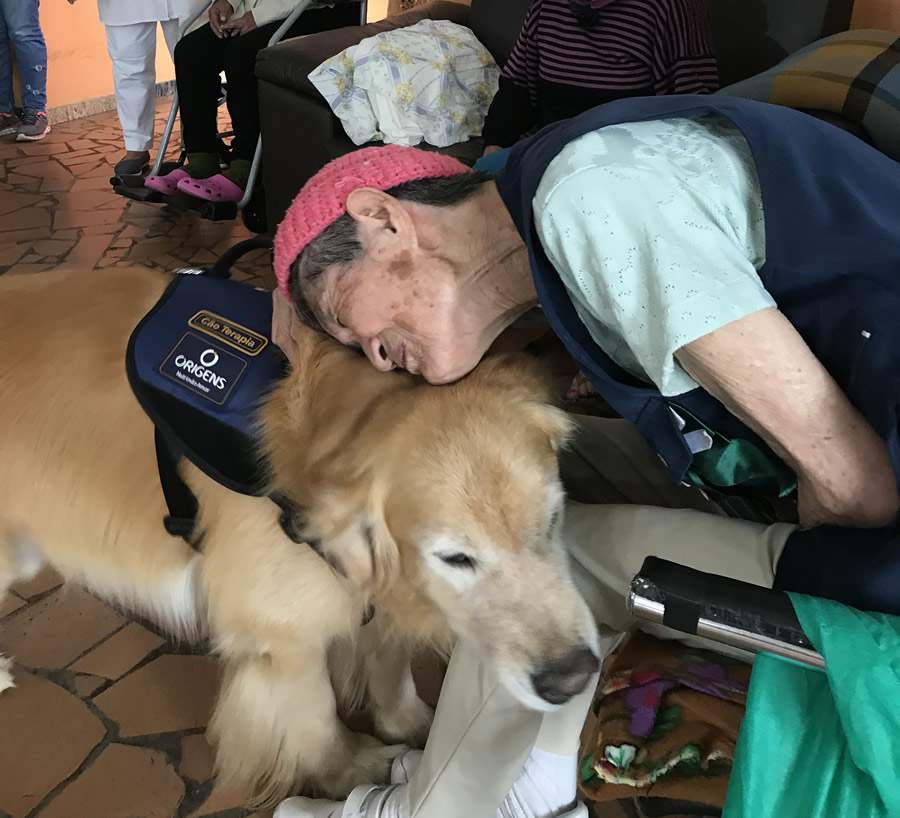 Ação social e pet terapia levam conforto e carinho a idosos em lares de longa permanência