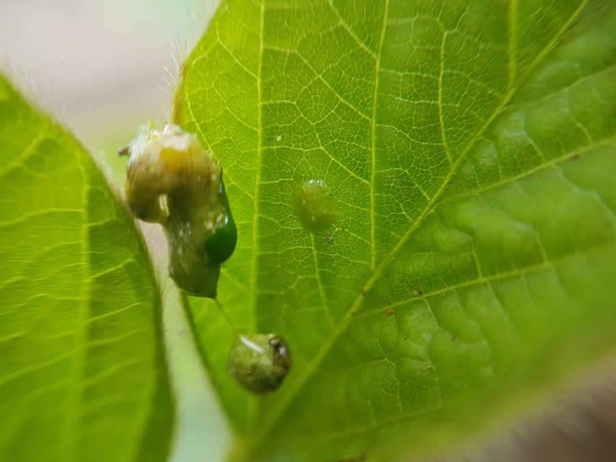 Imagem: Divulgação