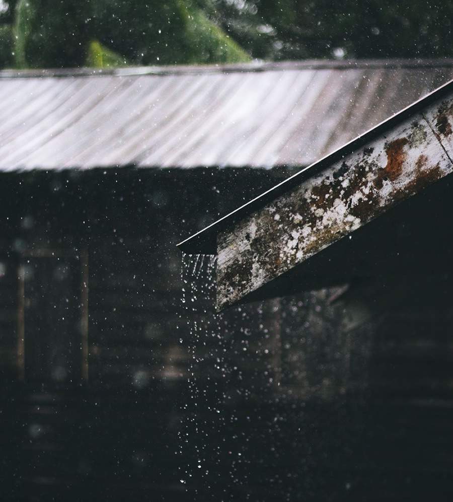 Crédito: Pexels - Nur Andi