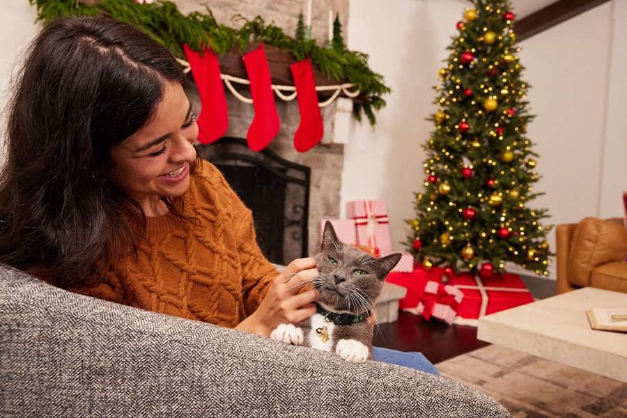 Imagem: Divulgação/Mars Petcare